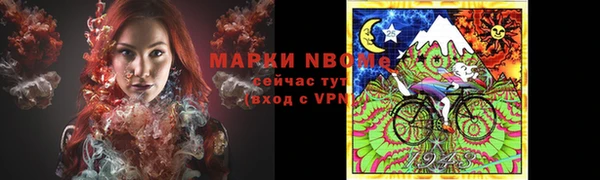стаф Белокуриха