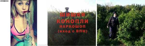 амф Володарск