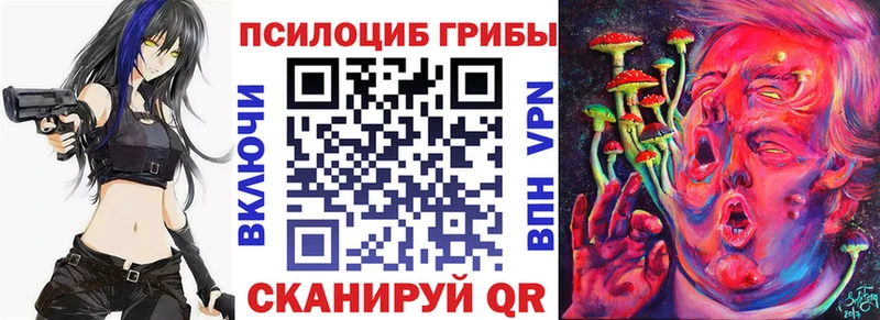 Псилоцибиновые грибы Psilocybine cubensis  дарнет шоп  Инта 